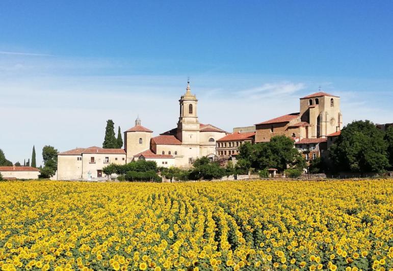 Casa Rural Las Condesas Santo Domingo De Silos Εξωτερικό φωτογραφία